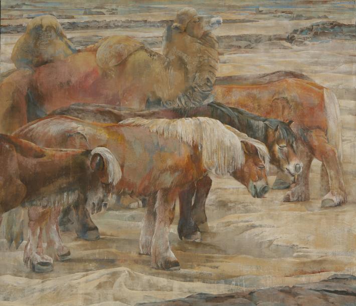 「放牧馬」の画像