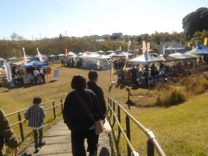 フェスティバル全体の様子