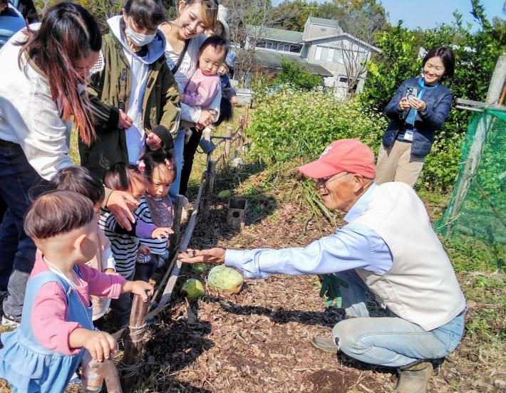 畑で遊んでいる写真