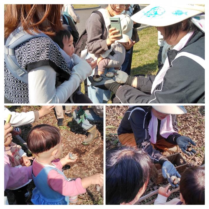 幼虫をさわっている写真