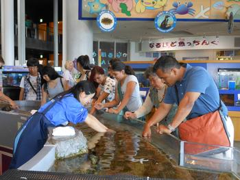 大洗水族館で魚を触るユーバ市民訪問団