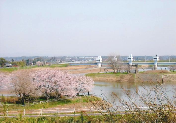 現在の岡堰の写真