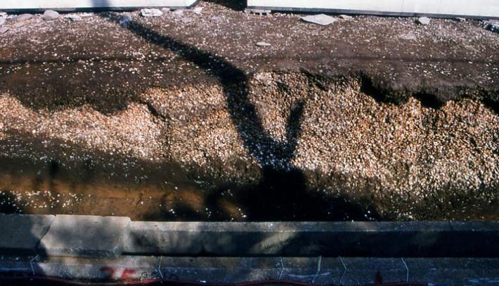 中妻貝塚貝層の写真