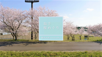 藤代スポーツセンターの桜動画サムネイル画像