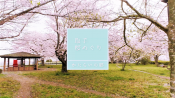 かたらいの郷の桜動画サムネイル画像
