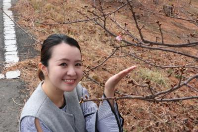 一輪咲いた河津桜の隣で笑顔で映るさくらまやさんの写真