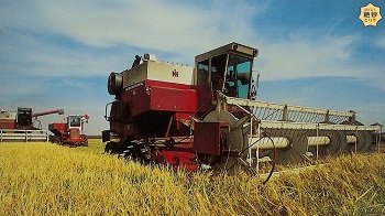 大きな赤いトラクターが米の収穫を行っている様子