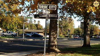 道路の表示板に「TORIODE CITY」と書かれています。