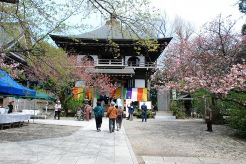 長禅寺写真データ。Photo of Chozenzi temple, from the front.