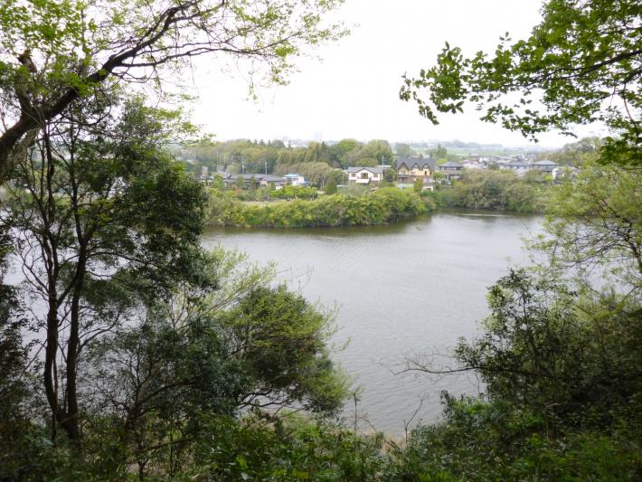 古利根沼の風景の画像