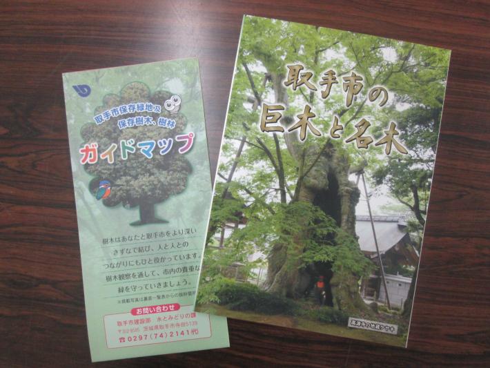 巨木と名木の本とガイドマップの写真