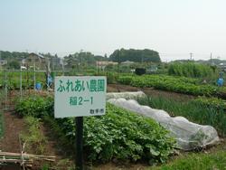 稲2農園の遠景。手前側に「ふれあい農園2-1」の看板が立っており、奥には葉物野菜やネギの植えられた農園の区画が広がっている。
