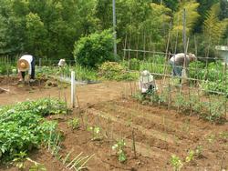 農業ふれあい公園の画像。3人ほど、手前の畑で作業をしている人がおり、その後ろ側にはやぶが茂っている。