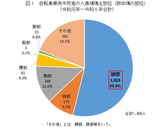 自転車乗車中死者の人身損傷主部位の割合を表した図。頭部が全体の53.9％を占めている。