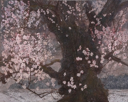 佐渡の梅津地区に咲き誇る苔梅と名がつく名樹を描いた作品