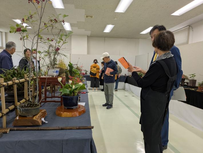 色とりどりの植物や手入れの行き届いた盆栽が文化祭の会場に並び、訪れた人々がその美しさや技術に感心しながら鑑賞しています