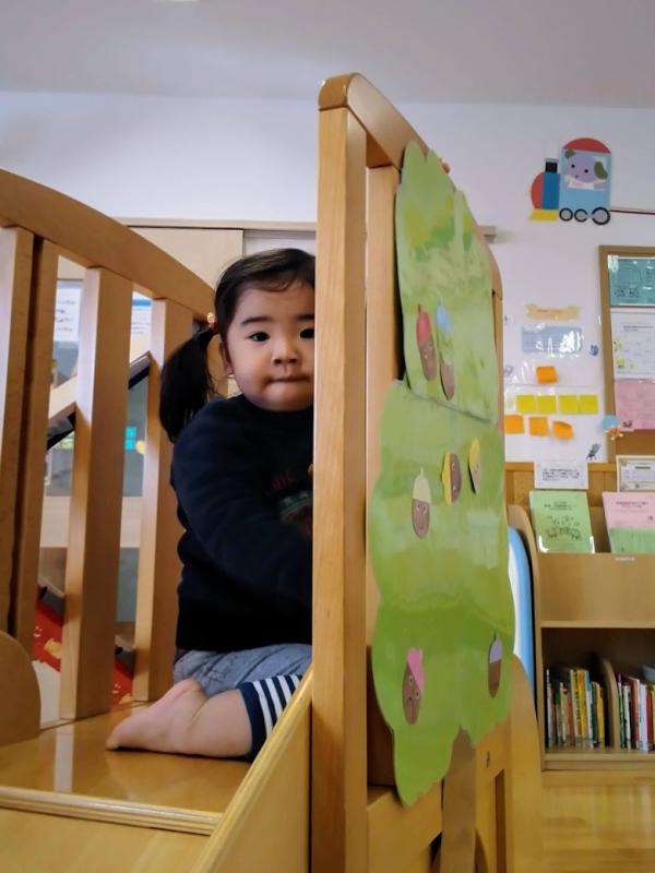 どんぐりの木の後ろに女の子が座っている写真