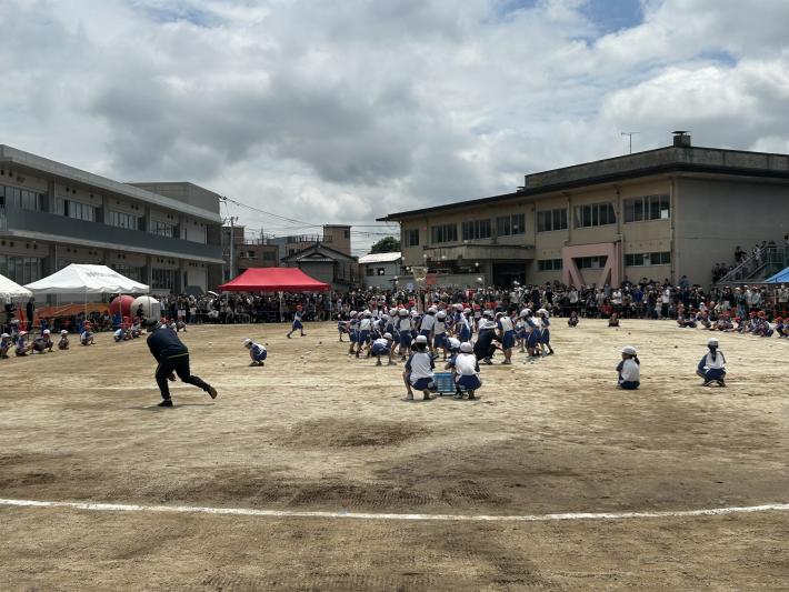紅白帽子を被り玉入れをする小学生