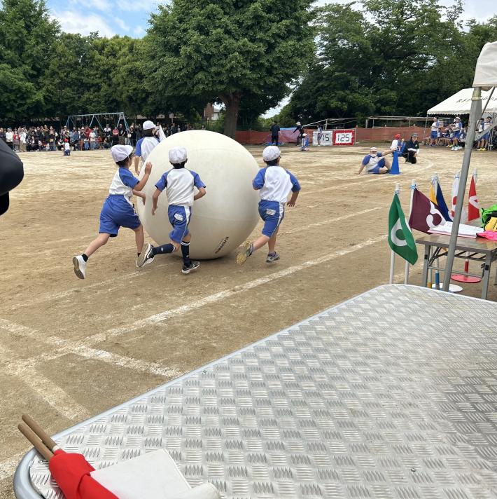 紅白帽子を被り大玉転がしをする小学生