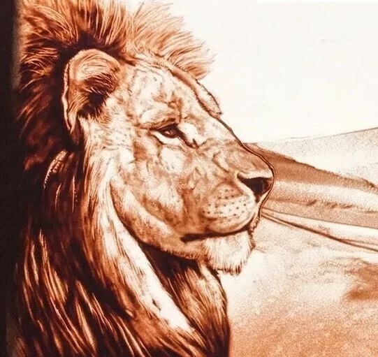 砂で描かれたライオンの絵