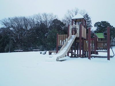 2月6日7時ごろ、ゆめみ野公園積雪の様子（本文用）