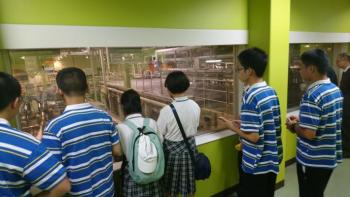 桂林市訪問団の学生たちが、工場のラインをガラス越しに見ている様子を背中側から撮影した画像。