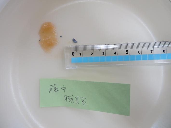 藤代中学校給食に混入した異物(長さ約5ミリメートルの金属片のようなもの)