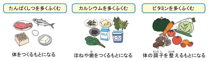 栄養素の説明が食事の例とともになされている