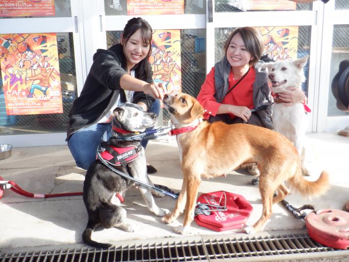 高木真備さんとさくらまやさん。女性2人がしゃがみ、犬が3匹並んでいる。
