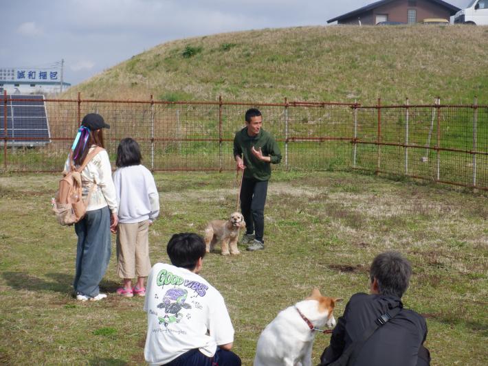 人が犬のしつけをしている