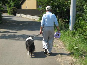 住宅街で、リードを使い、手に散歩用袋(ふん、尿を処理するための道具を入れる袋)を持参して犬を散歩させている男性。