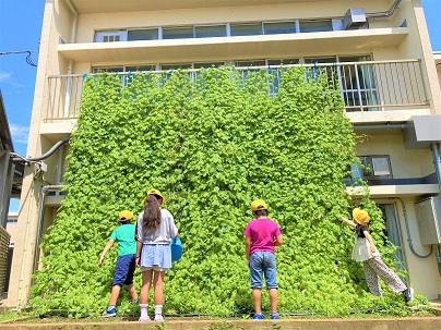寺原小学校の緑のカーテン応募作品