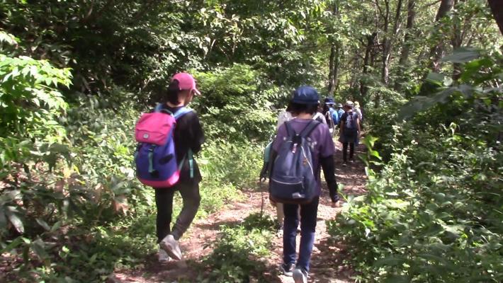 谷川岳の森を散策するこどもたち。2人の児童がこちらに後ろ姿を見せ、森を歩いている。