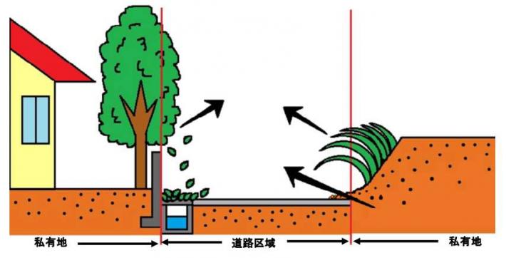 樹木などの道路越境のイラスト