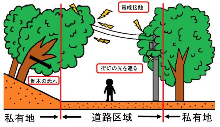樹木などの道路越境のイラスト2
