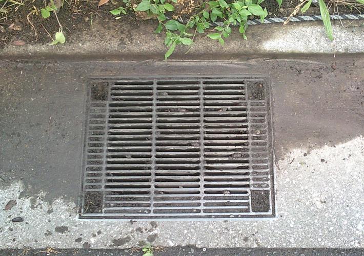 道路の排水溝の清掃後の落ち葉が除去された画像です