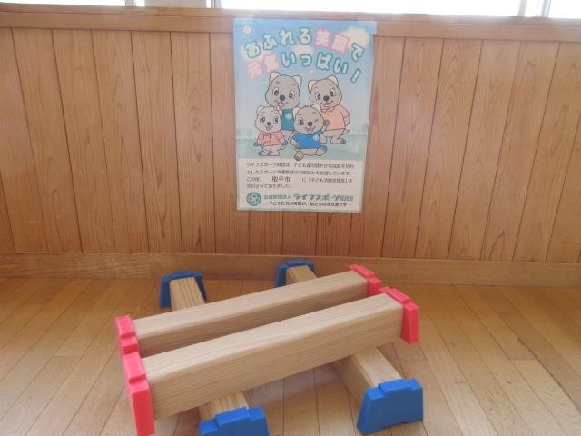 購入したやわらか運動棒