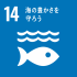 SDG's目標14「海の豊かさを守ろう」画像