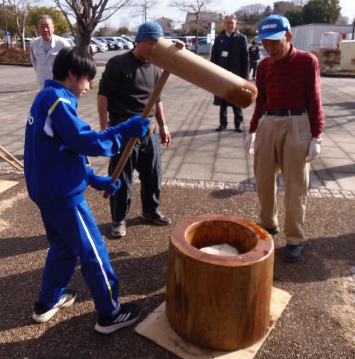 藤代中学校の男子生徒が「新春小貝川ふれあいどんど焼き」にて餅つきのお手伝いをしている様子