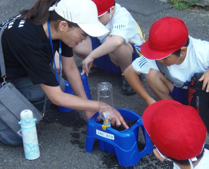 藤代小学校1年生のアサガオの種植えの様子