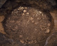 中妻貝塚出土多数合葬墓出土状況写真