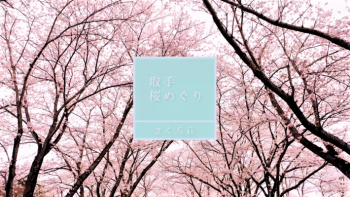 さくら荘の桜動画サムネイル画像
