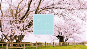 水神岬の桜動画サムネイル画像