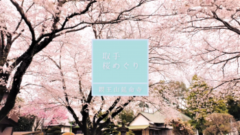 延命寺の桜動画サムネイル画像