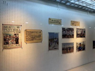 取手駅ギャラリーロードに写真が展示している様子