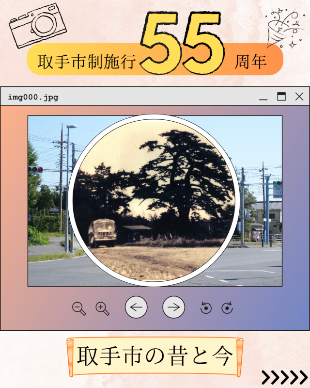 長兵衛にある一本松の今と昔の写真を重ね合わせた写真