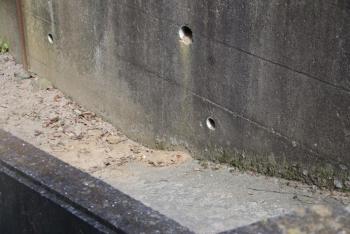 カワセミが巣を作ったコンクリート壁面に埋め込まれた水抜きパイプの写真
