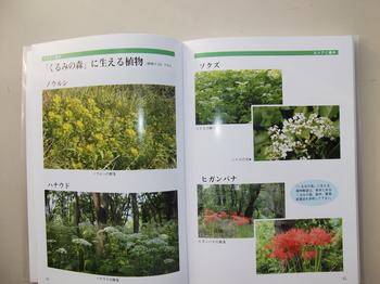 本の中身の紹介画像で、「くるみの森」に生える植物のページです。