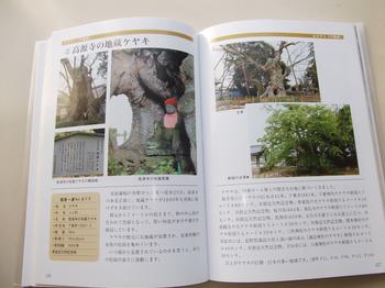 本の中身の紹介画像で、高源寺にある地蔵ケヤキのページです。