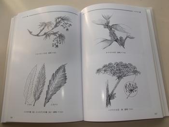 本の中身の紹介画像で、花や葉のイラスト集のページです。